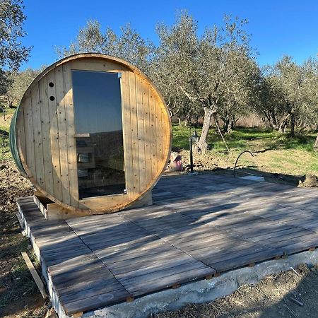 Casale Meraviglioso Val D'Orcia Con Piscina Radicofani Exteriör bild