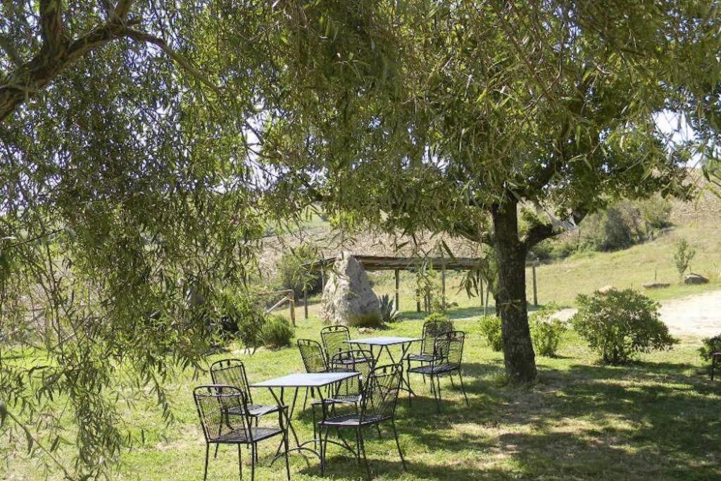 Casale Meraviglioso Val D'Orcia Con Piscina Radicofani Exteriör bild