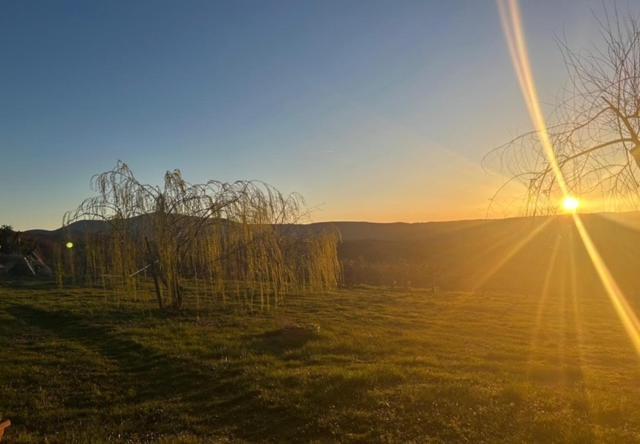 Casale Meraviglioso Val D'Orcia Con Piscina Radicofani Exteriör bild